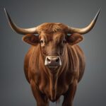 Taurus 
